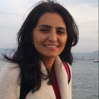Gül İlhan Zengin