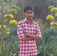 Avinash Narkar