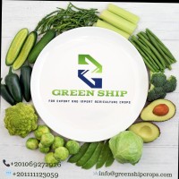 green ship