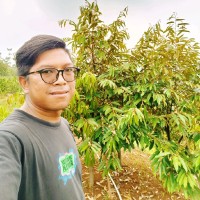 Sam Mino