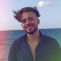 Mohamed Ali Arab