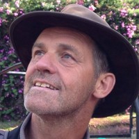Albert van den Berg