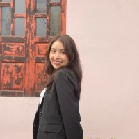 Minh Hong Vu