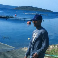 David Owusu