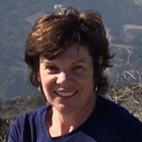 Lori Amirsheybani