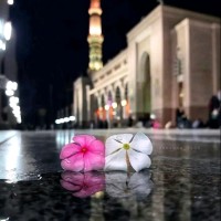 Halima Ahmed