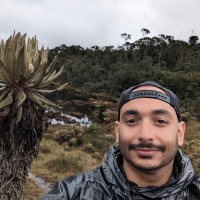 Sebastian Velez Cardeño