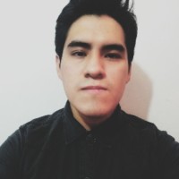 Luis Enrique Celestino Artica