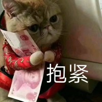 王育东