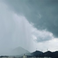 朱韶凯