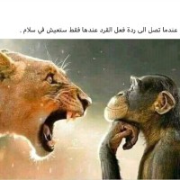 علي عصام