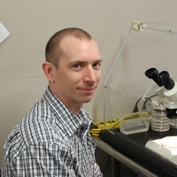 Patrick O'Donnell