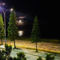 Mauri de Assis Assis