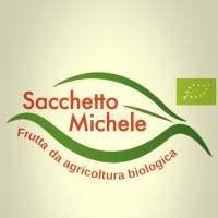 Michele Sacchetto