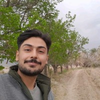 Amir Hossein Mojarad