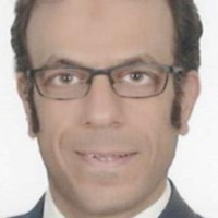 Sherif Abdelgawad