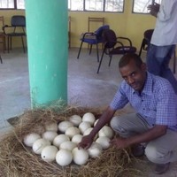 Daniel Worku
