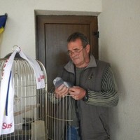 mircea marius
