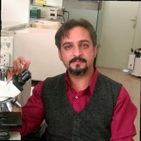 Mahdiyar Iravani Saadi