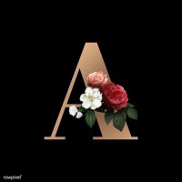 Annie Farazmand