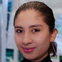 Monserrath A. Ramírez Dorantes