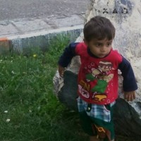 Amir Alimohmdi