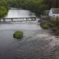 Christopher Ferguson