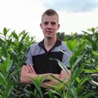 Matthijs van Haperen