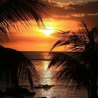 Sherif Elsayed Ibrahim