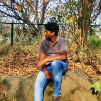 Damodar P