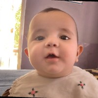 Mohammad Aklil Adel