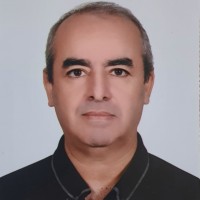Ayhan Ilerisoy