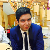 Luis Javier Martínez Rojo