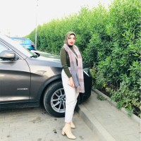 Alaa Amer