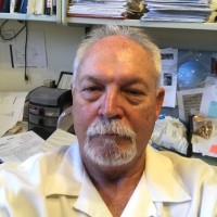 Dennis Correll