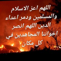 Ibrahim F.