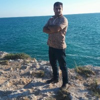Mehrdad Mansoori