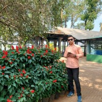 PRATIK RAUT