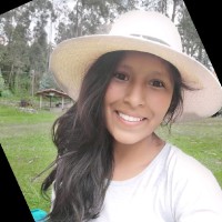 diana elizabeth Vargas Guaman