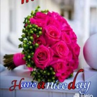 Vignesh Rajan