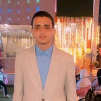 asem Elsayed