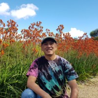 Jim Tran