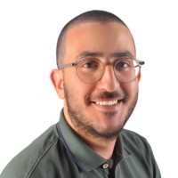Mahmoud M. El-Safty
