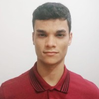 Vinicius Alves Fernandes