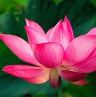 Abirami.S subramanian