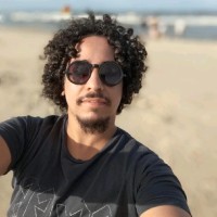 Flavio Henrique Ferrarezi Martins