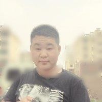 张献波