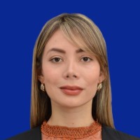 Laura Lizeth Guachetá Fajardo