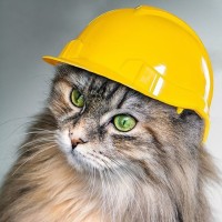 QA Automation Engineer