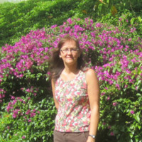 Linda Potvin RN BSN CCM